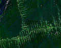 Amazonie deforestation.jpg