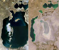 Aral Sea 1989-2008.jpg
