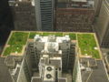 Chicago City Hall Green Roof.JPG